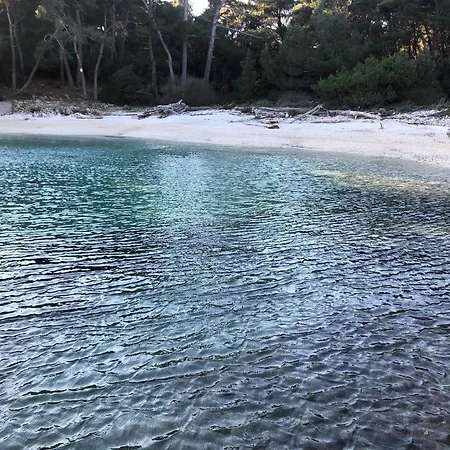 Villa Rita 2 Apart Artatore * Mali Lošinj